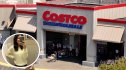 Spanx Air Essentials Dupe at Costco