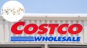 Costco Icon Glass dupe