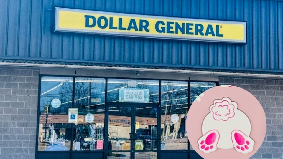 Dollar General Easter Decor Is Here! Snatch Up Finds for as Low as $1!