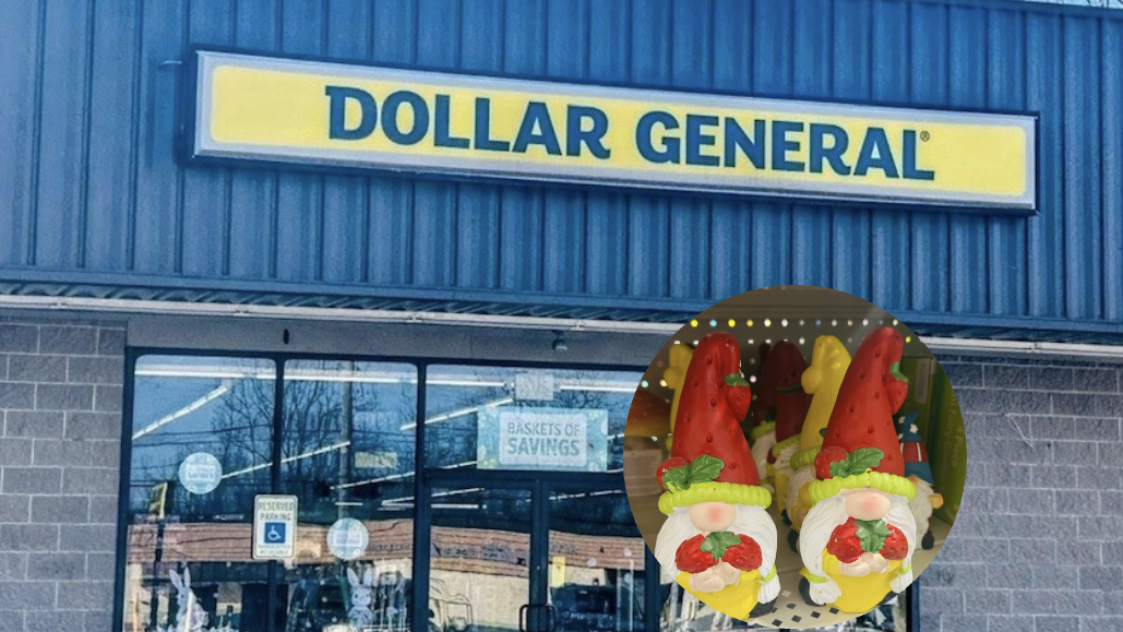 Need Some Good Luck? These $2 and Up Dollar General Gnomes Are Too Cute!