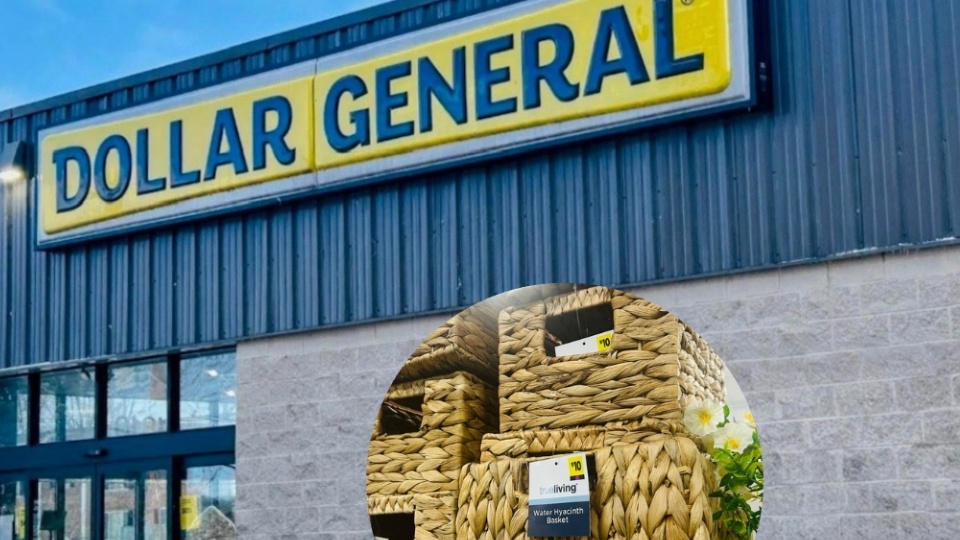 8 Boho Gems at Dollar General That Look Expensive (But Are Under $10!)