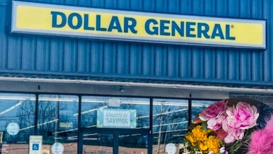 Dollar General Spring Decor Starts at $1! See Our Top Picks