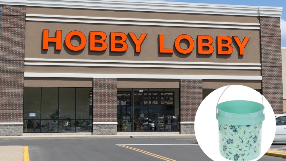 Hobby Lobby Just Dropped the Prettiest $4 Spring Buckets!