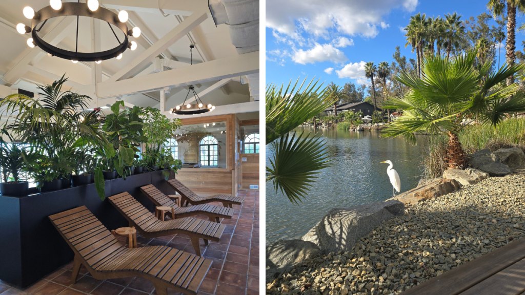 Sauna area (left) and an egret (right) at Murrieta Hot Springs Resort