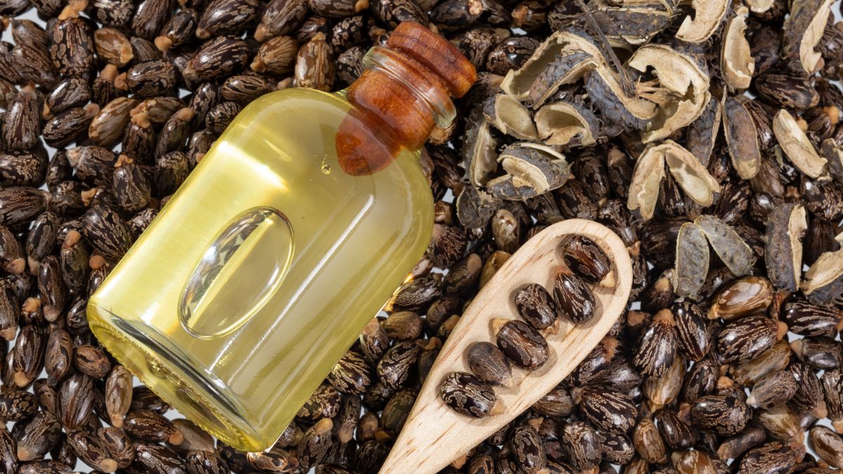 Castor oil seeds and a bottle of oil