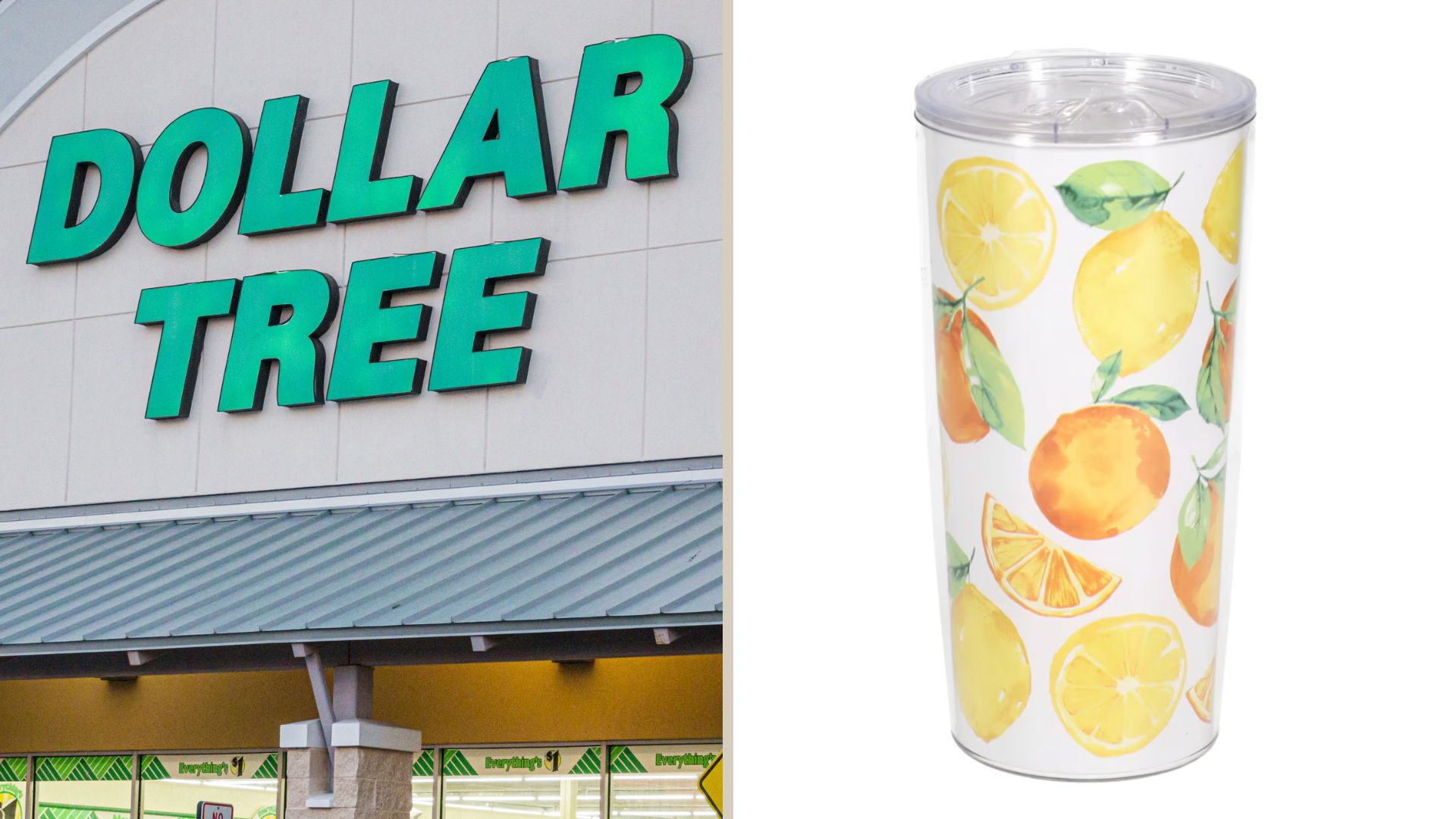 dollar tree citrus