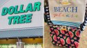 dollar tree finds