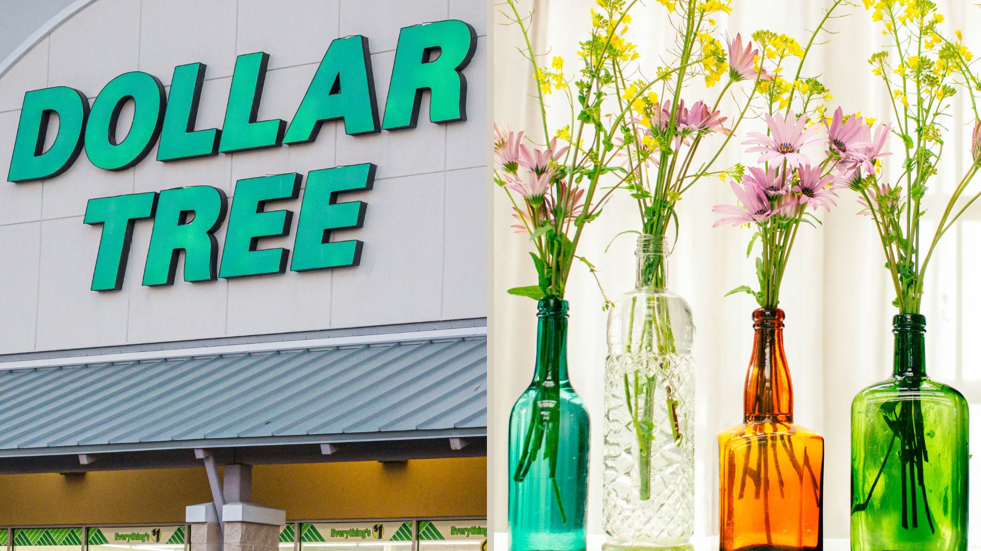 dollar tree