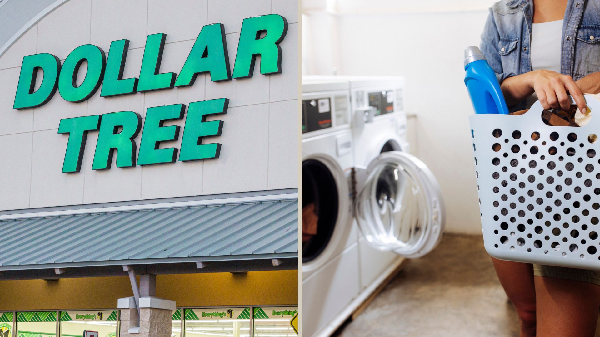 dollar tree laundry