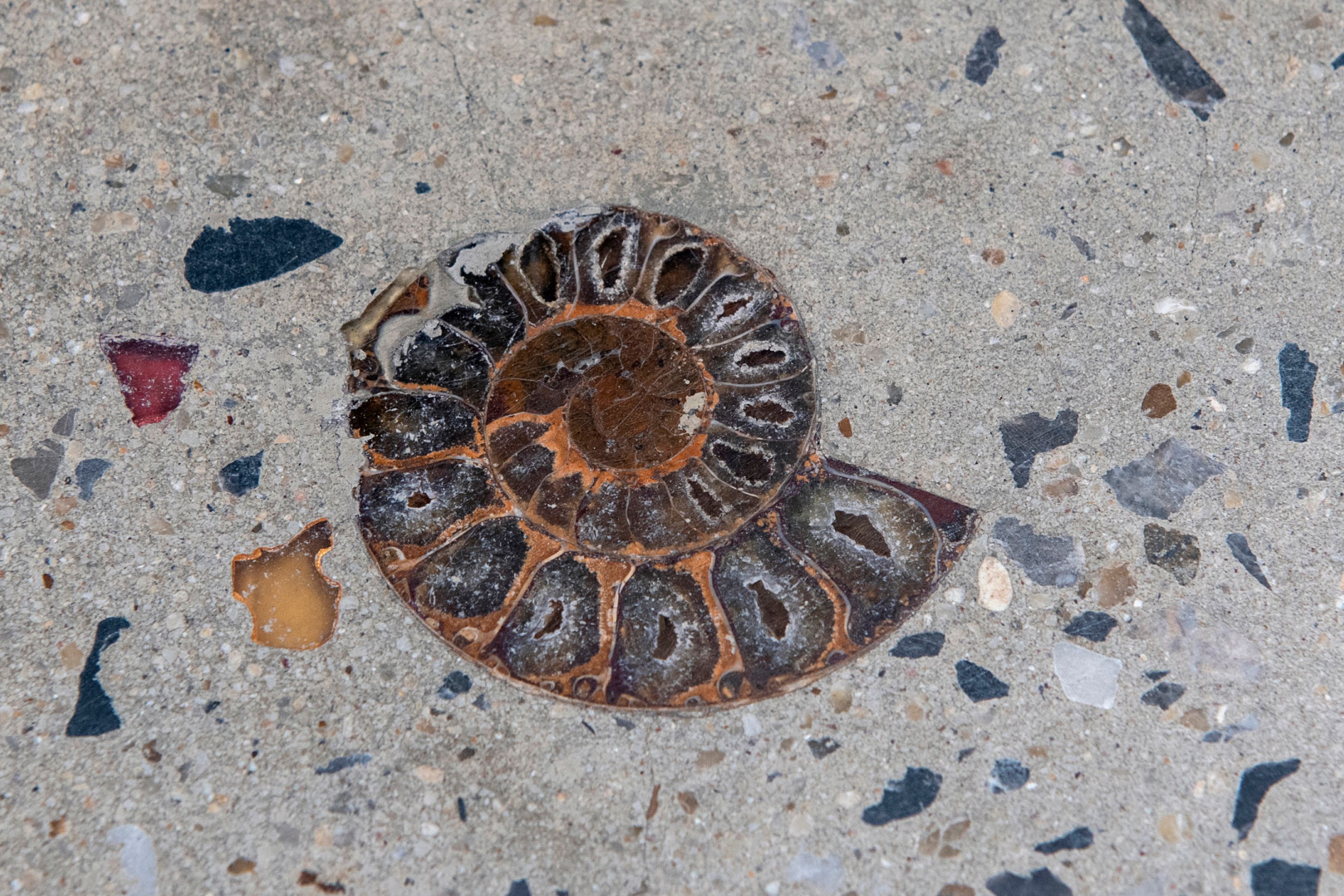 The fossil of an ammonite is embedded in the new pavement of a shopping area in Bangkok on May 3, 2022. - Experts from Thailand's Ministry of Natural Resources and Environment told AFP on May 3 it had verified dozens of fossil structures found on a shopping street in Bangkok, laid down apparently as decorations by the building contractors, were the genuine remains of ammonites -- marine mollusc animals that emerged in the fossil record some 400 million years ago, until their extinction around 66 million years ago. (Photo by Alex OGLE / AFP) (Photo by ALEX OGLE/AFP via Getty Images)