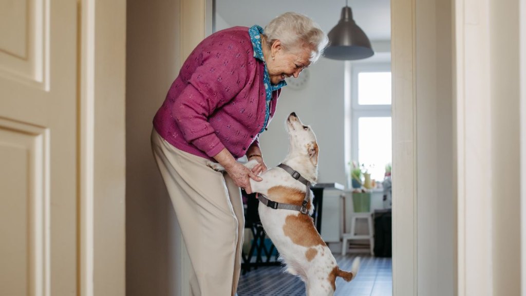 senior women playing with dog