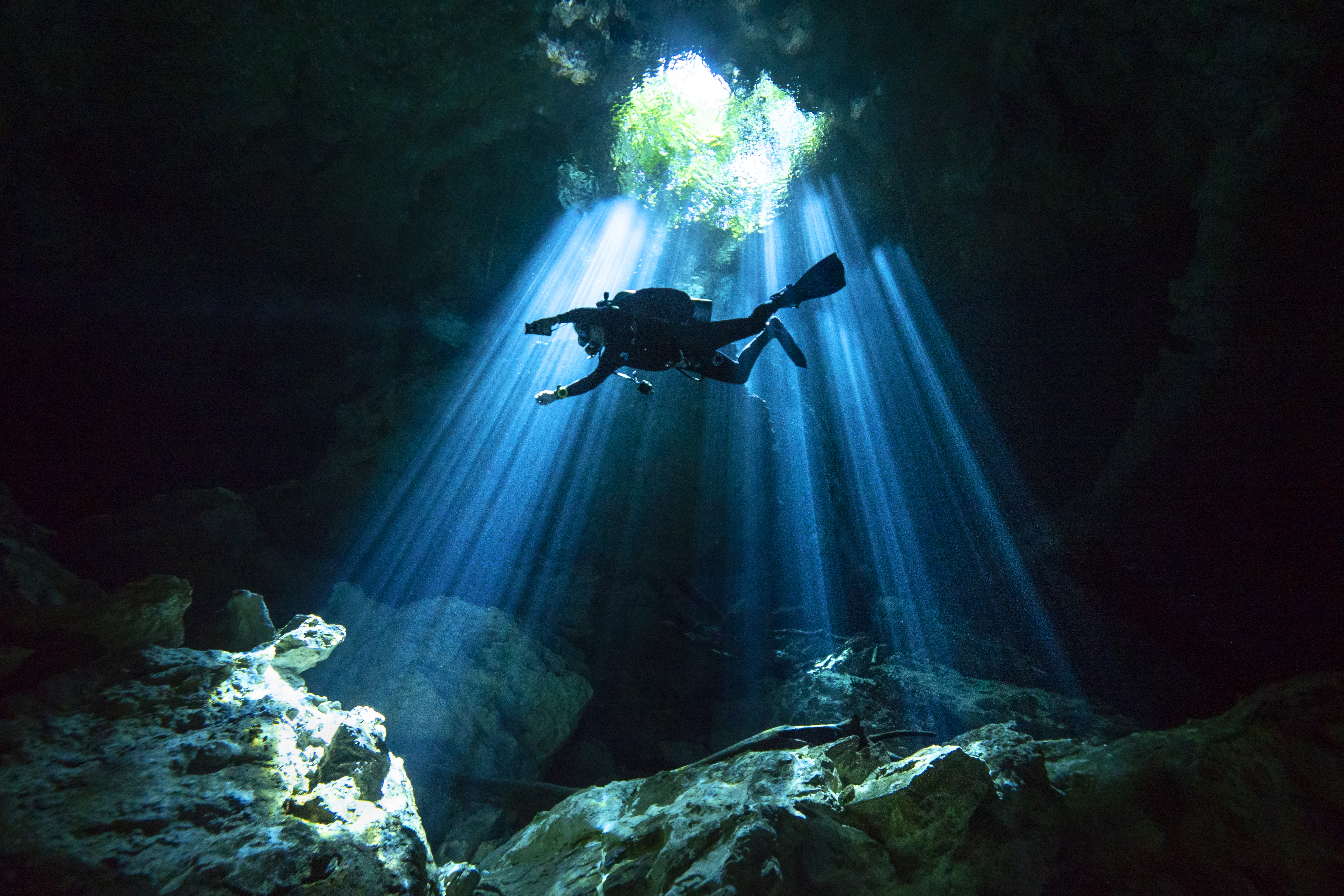 QUINTANA ROO - SEPTEMBER 27: A scuba diver swims through rays of light coming into a massive underground, underwater cave in the Cenote Taj Maha in Quintana Roo, Mexico on September 27, 2018. Cenotes are massive sinkholes formed when the ceiling of a cave collapses underwater, creating a network of underwater caverns in crystal clear water that divers come from around the world to explore. In ancient times, cenotes served as the Mayan civilizations only source of water and were also held as being sacred to the Mayan People. They believed that the sinkholes represented a passage to the underworld, or "Xibalba in the Mayan language. Archaeologists have found fossils of mammoths, massive jaguars, and sloths in these underground cave systems, as well as human bones indicating ritual sacrifice and human presence in the cenotes as far back as 9,000 years ago. (Photo by Donald Miralle/Getty Images for Lumix)