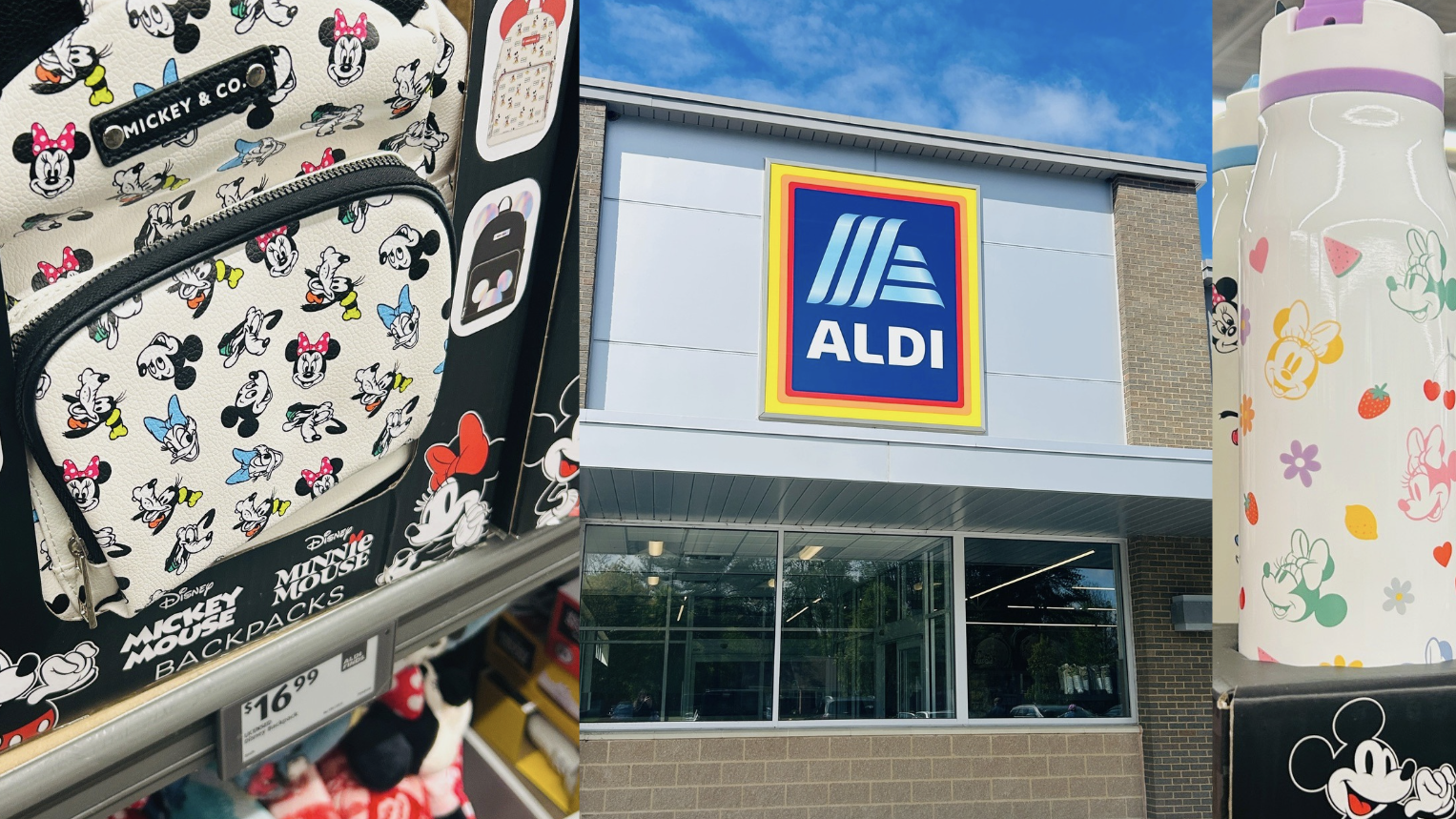 Aldi Disney finds