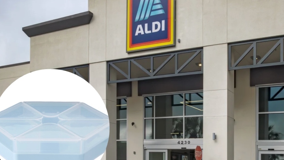 Aldi Just Dropped the Ultimate Picnic Haul—and It’s All under $10!