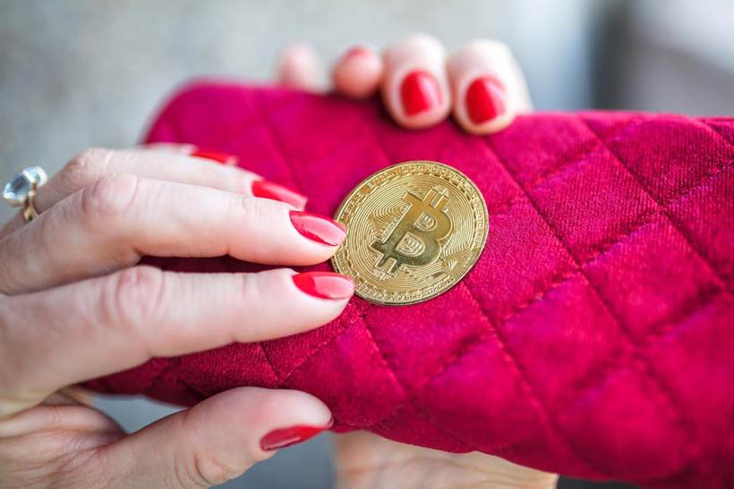 Bitcoin and a purse