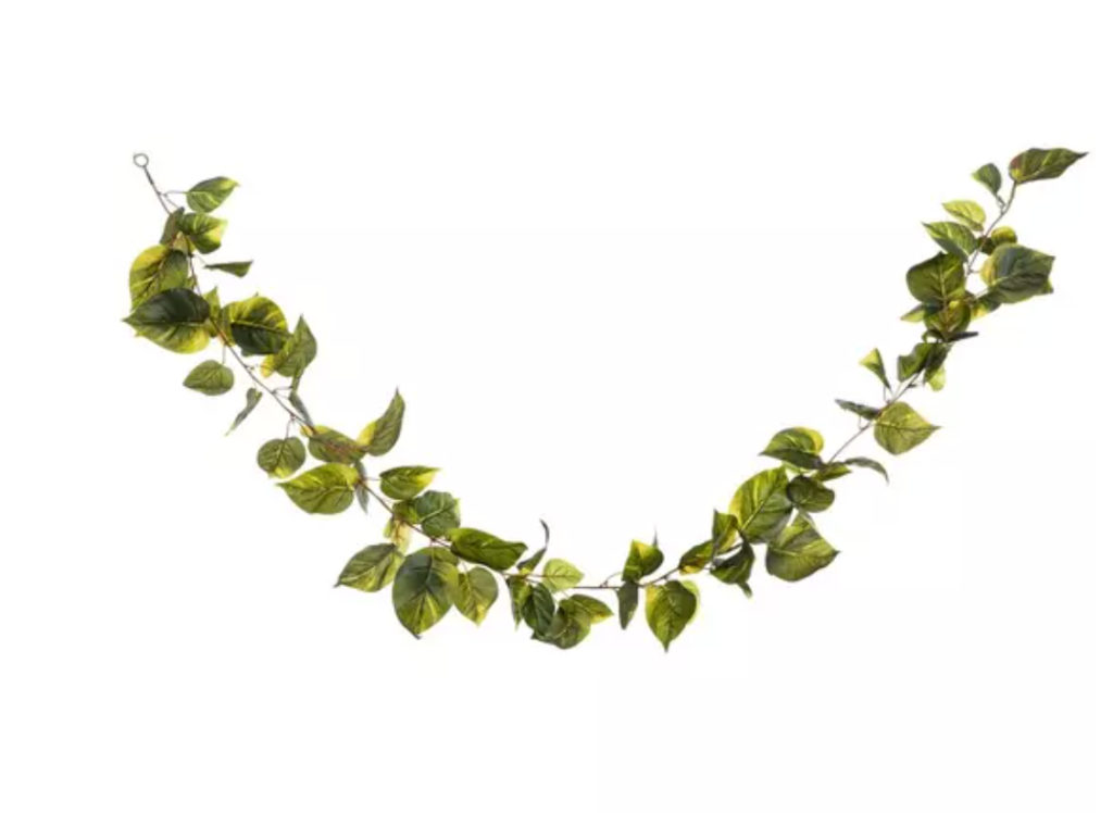 Pothos garland