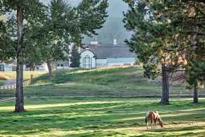 The Real 'Dutton Ranch': Inside 'Yellowstone' Stars' Real-Life Ranches