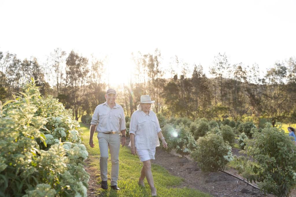 Freshwater Farm brings plant-based skincare to U.S. retailers