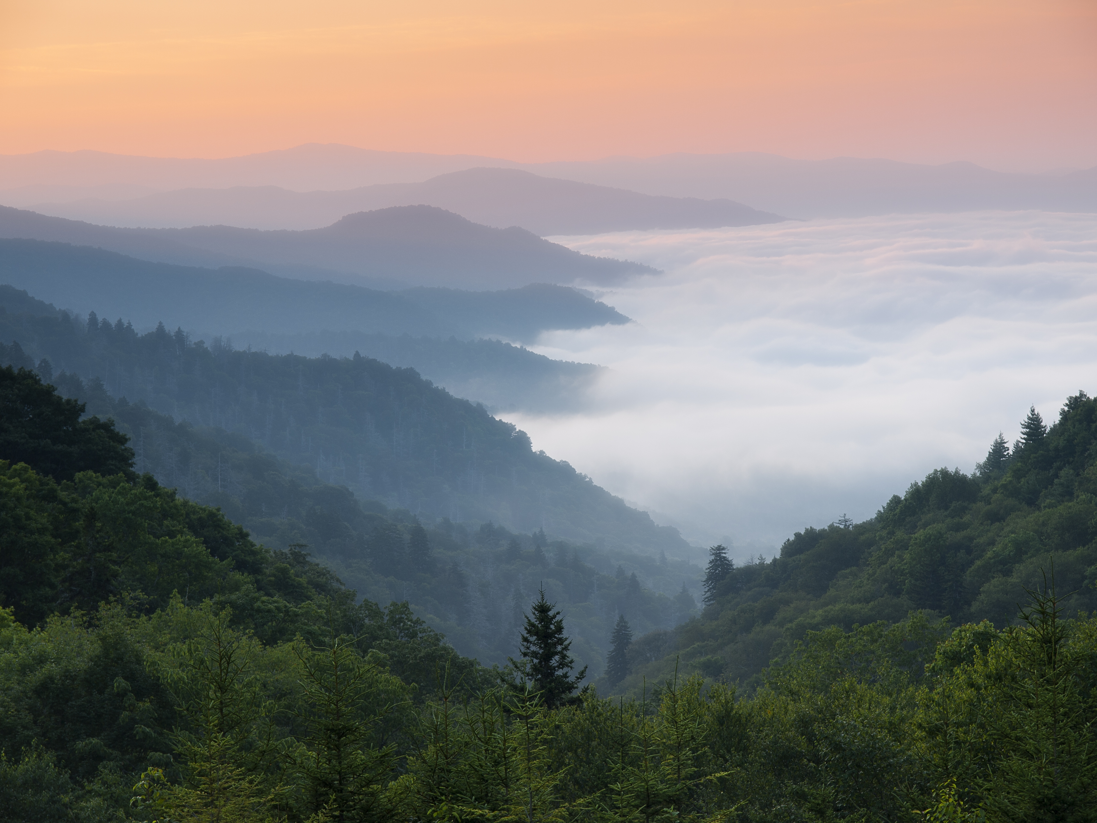7 Historical Fiction Books Set in Appalachia—Including Dolly’s Must-Read!