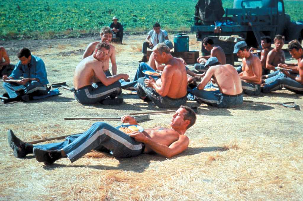 COOL HAND LUKE, Paul Newman, Wayne Rogers, Dennis Hopper, George Kennedy, 1967