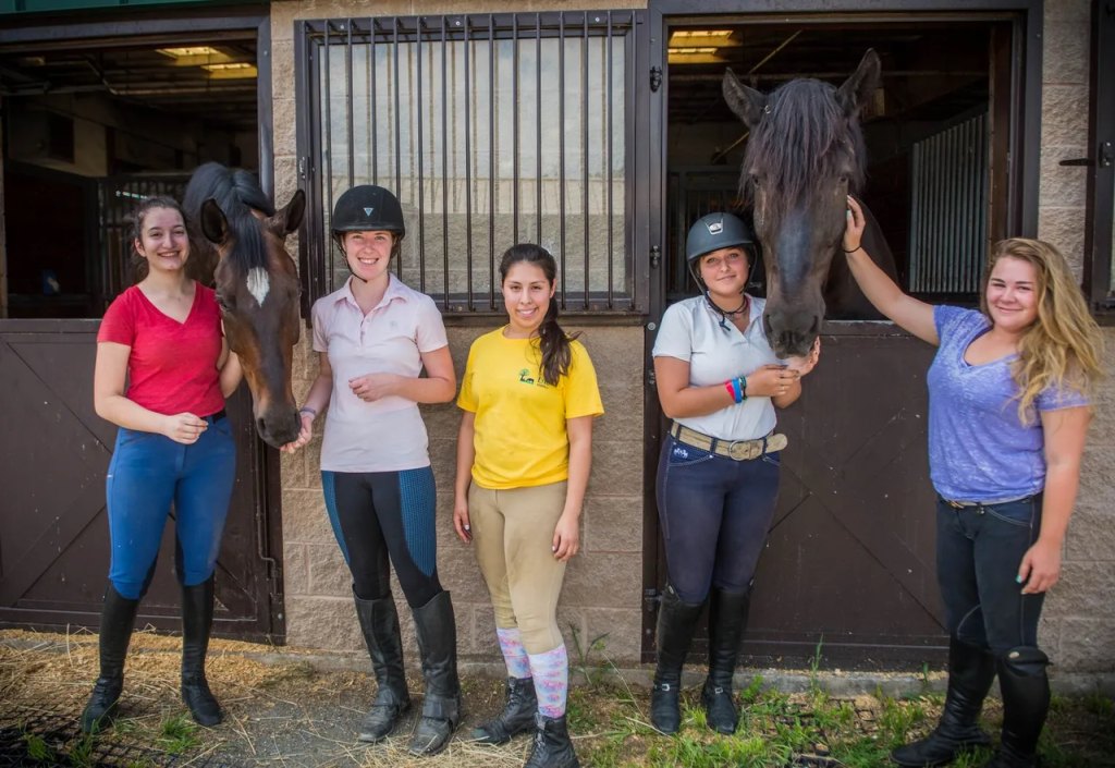 Our Stable Life programs help thousands through equine therapy