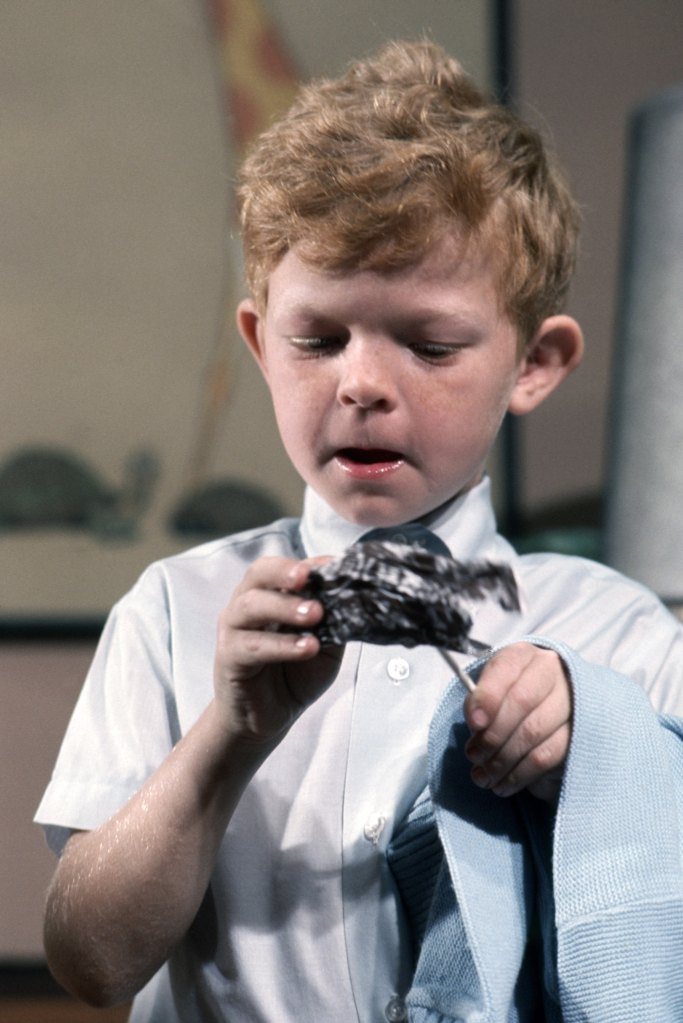 FAMILY AFFAIR, Johnny Whitaker, on-set, 1966-71. 