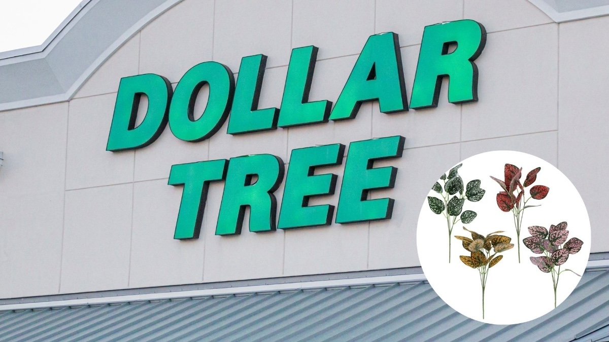 Image of the Dollar Tree with a superimposed image of four bouquets of artificial leaves