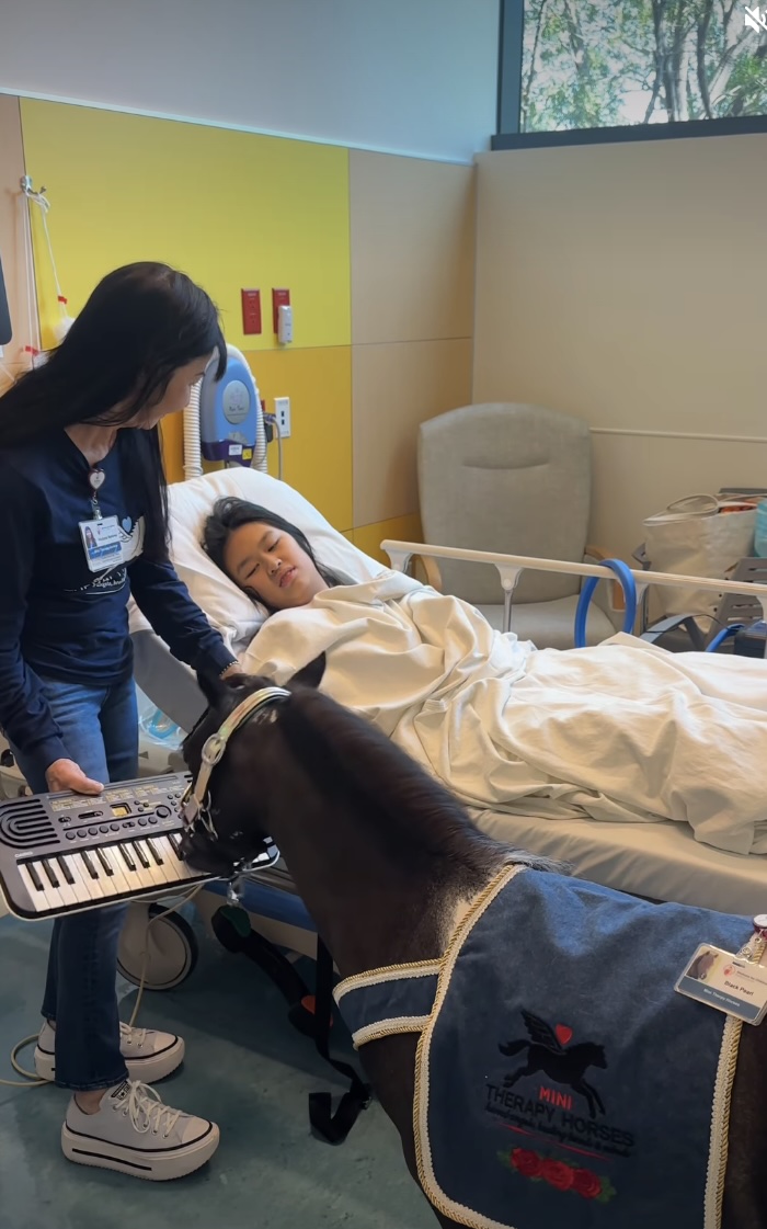 Meet Black Pearl, a Mini Horse Who Plays Piano for Kids in Hospitals