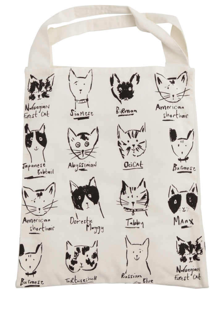 World Market can canvas tote