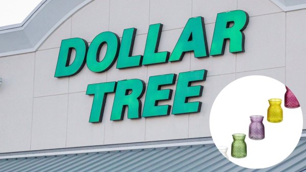 vases dollar tree