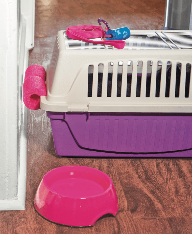 A pool noodle used to keep a dog crate from bumping the wall