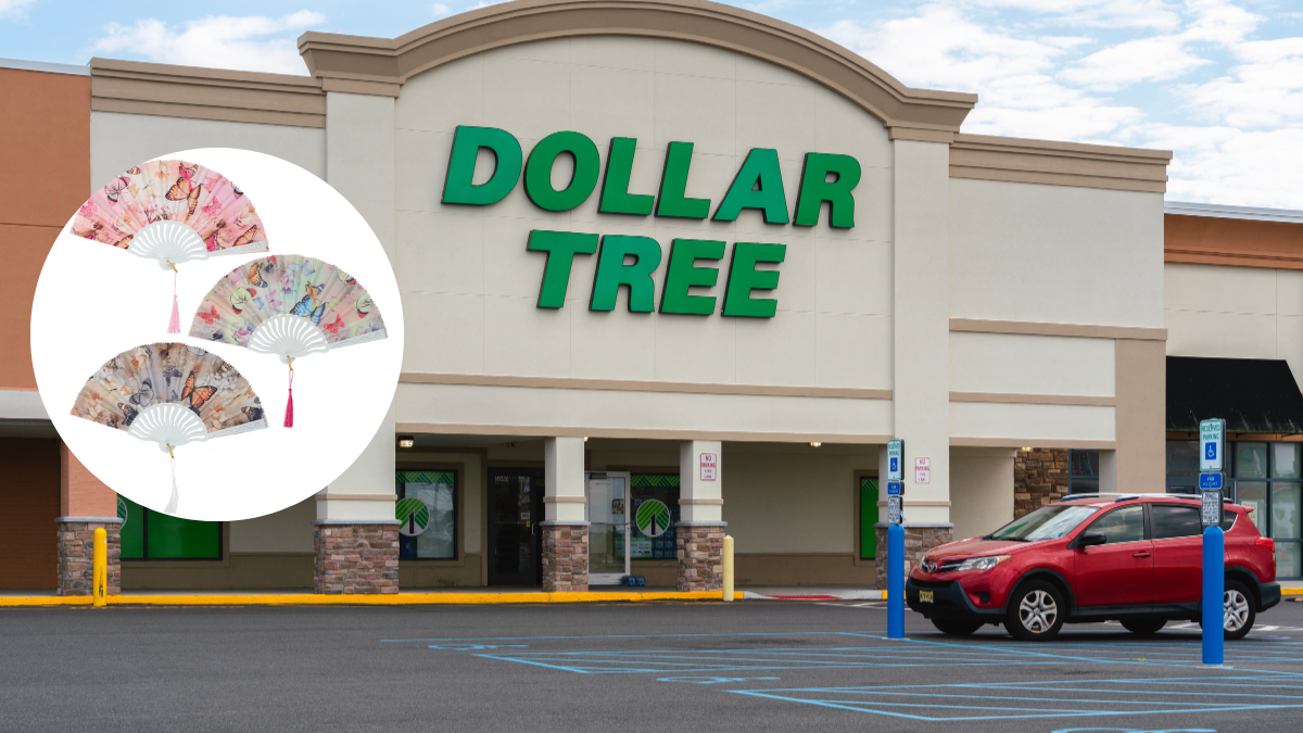 image of dollar tree with superimposed image of fans with butterfly motif
