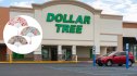 image of dollar tree with superimposed image of fans with butterfly motif