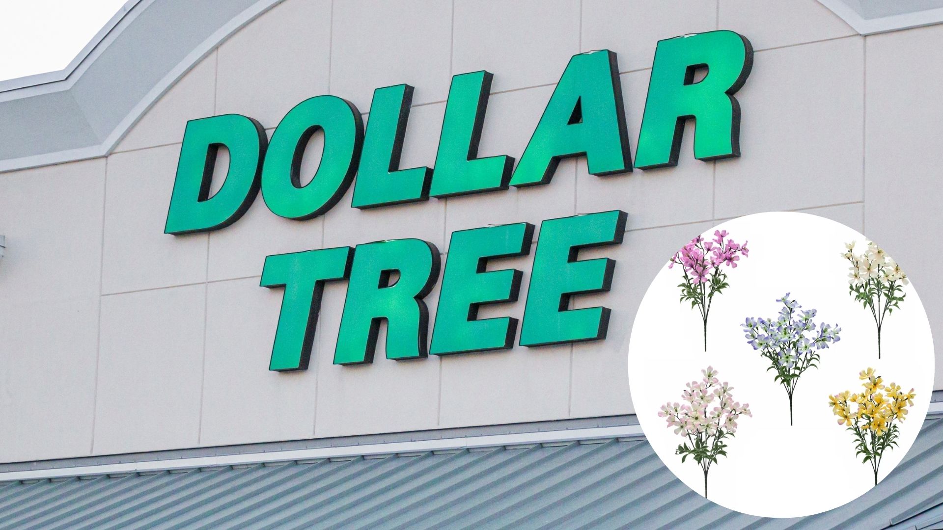 shabby chic dollar tree