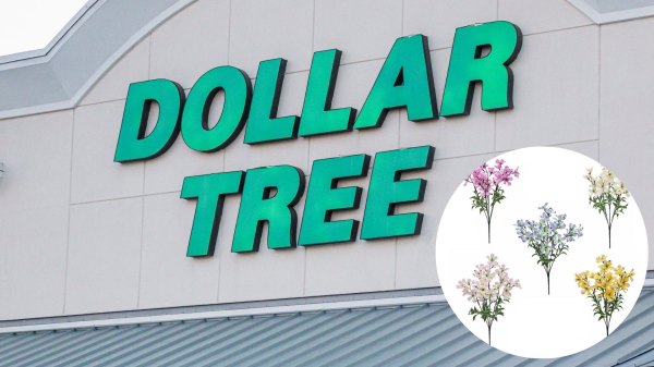 shabby chic dollar tree