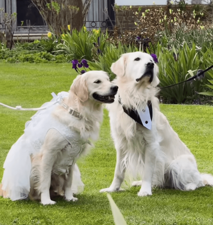 dog lover | Woman's World dog lover | Woman's World