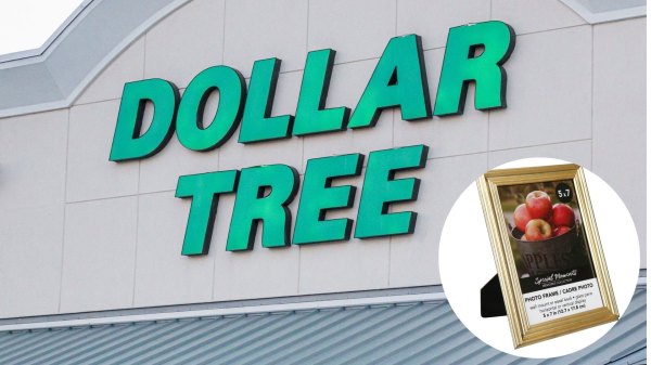 old money dollar tree