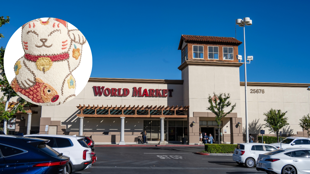 background shot of World Market with inset of cat pillow