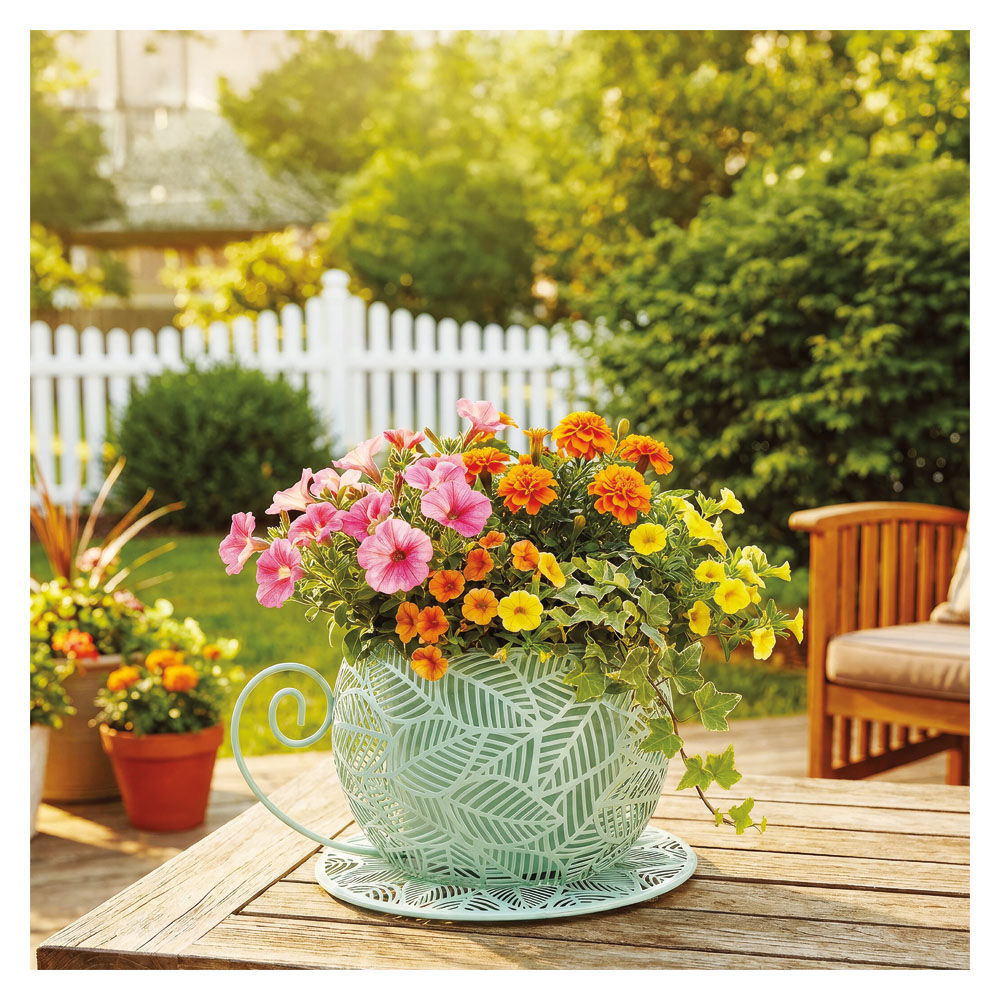 The Aldi Belavi teacup planter