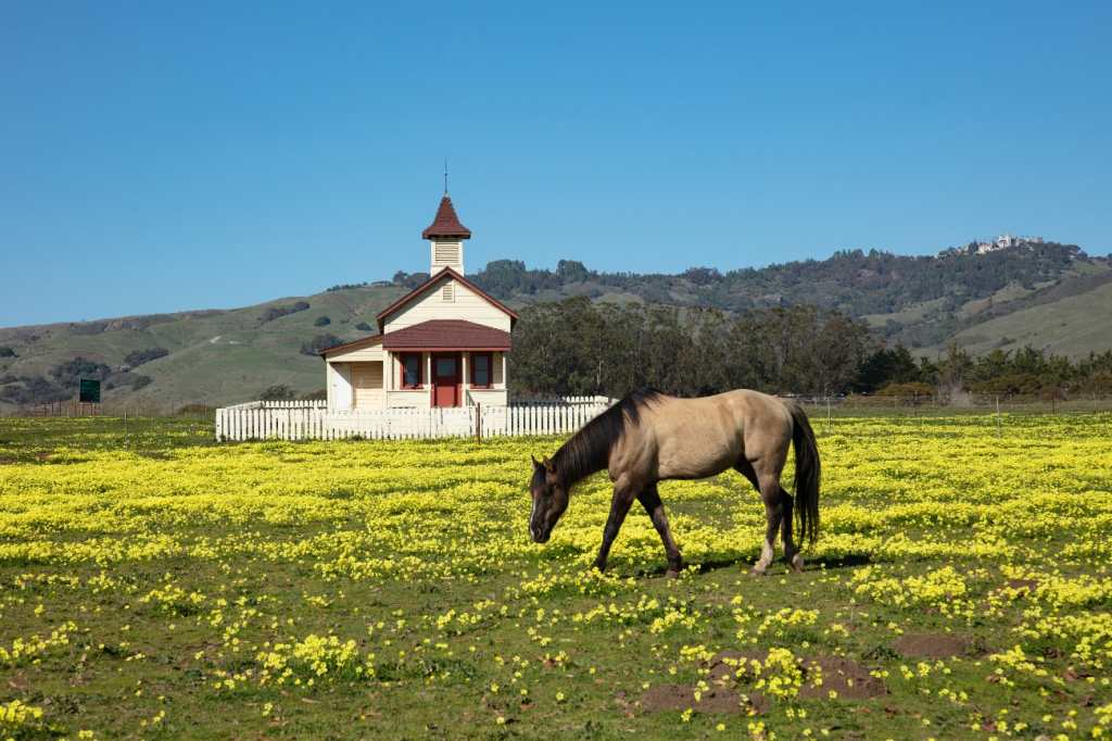 One room schoolhouse