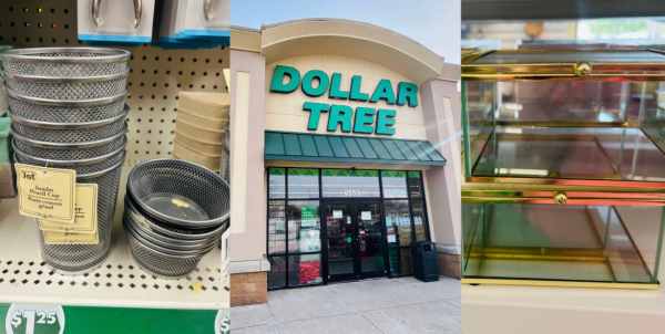 Dollar Tree