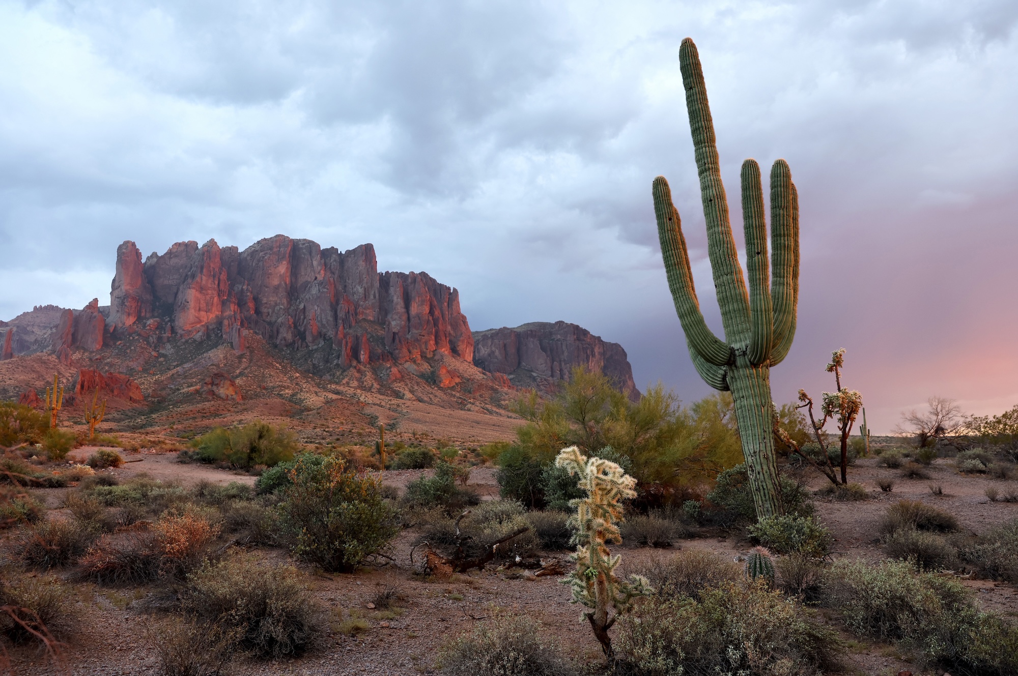 What Are the Best Wellness Retreats USA Has to Offer?