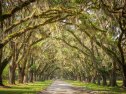 historical fiction books set in savannah