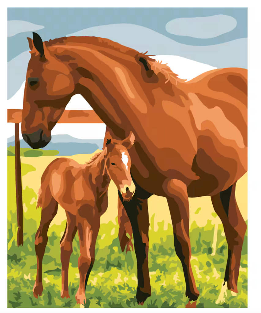 Horses Paint by Number-Kit
