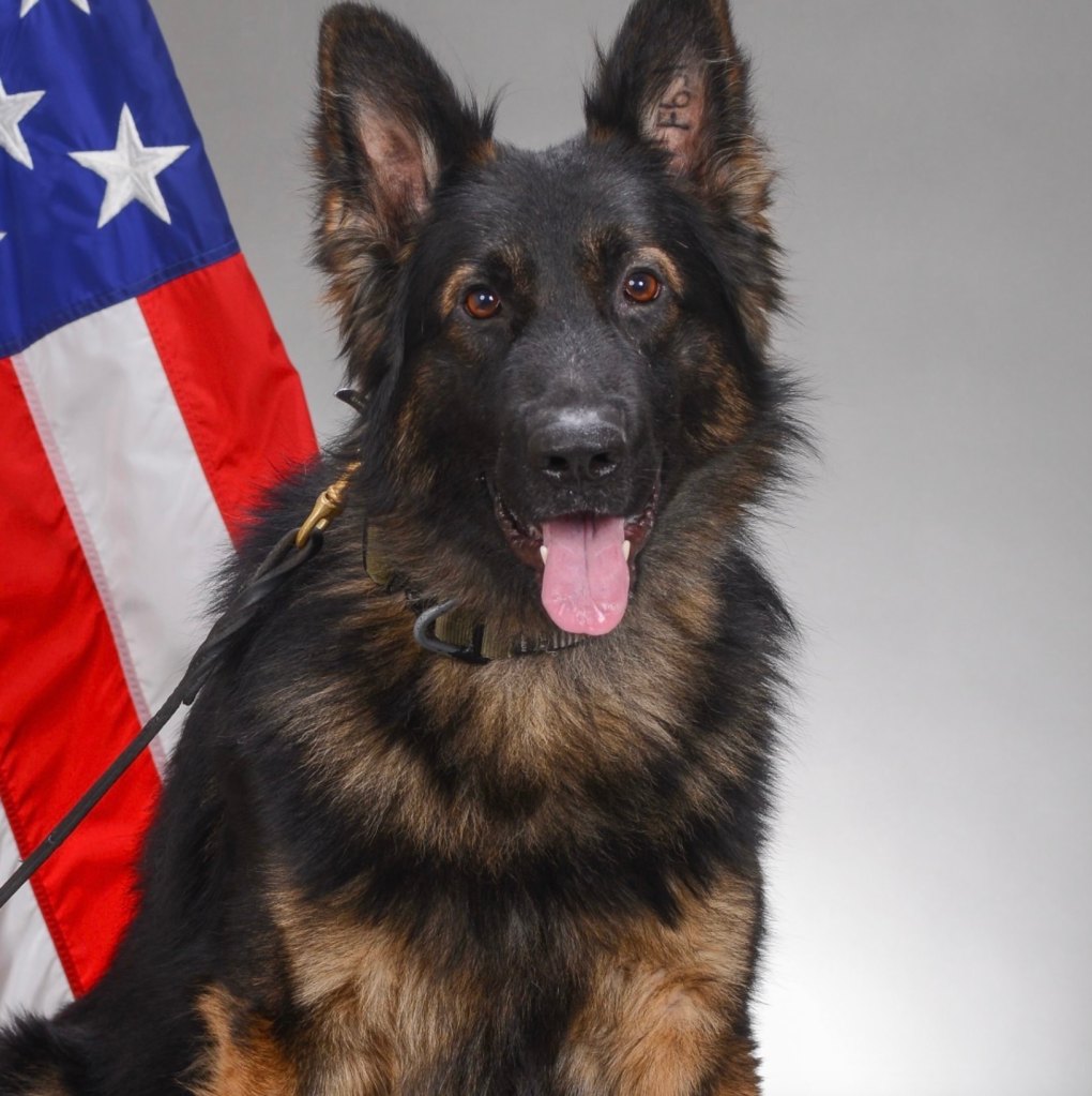 After meeting Dakota, Jim LaMonte knew he needed to help K9s with PTSD