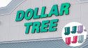 dollar tree book