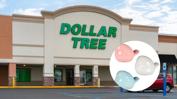 image of Dollar Tree with inset of bird sculptures