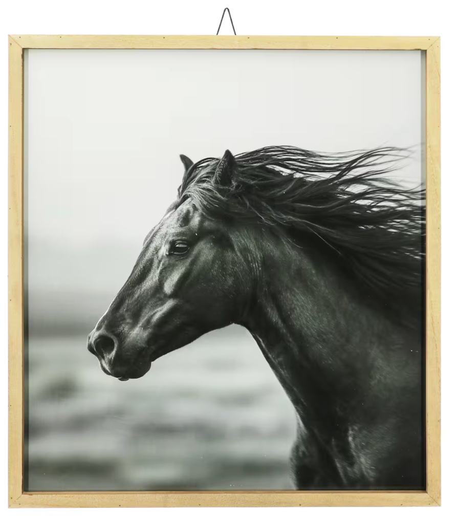 framed wild horse head wall decor