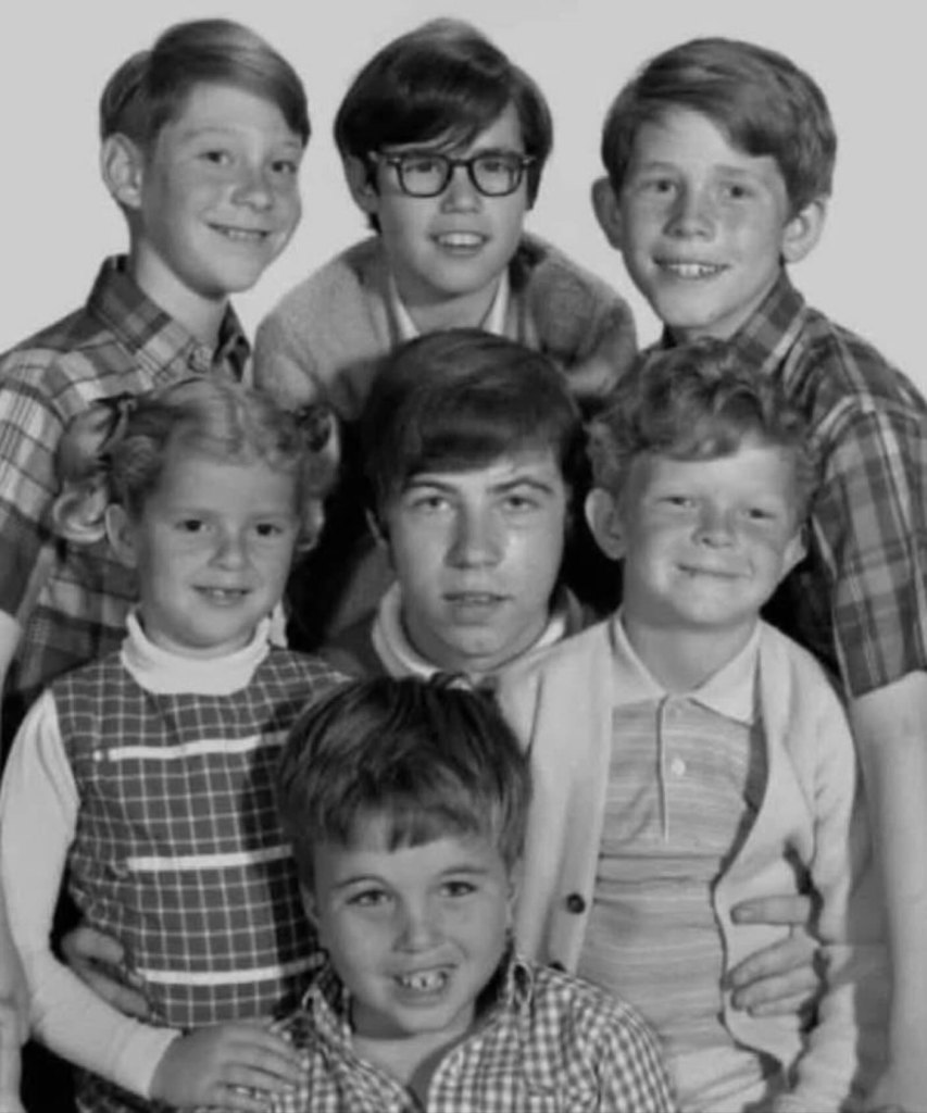 Child stars, clockwise from top left: Bill Mumy, Barry Livingston, Ron Howard, Johnny Whitaker, Clint Howard, Anissa Jones and Stanley Livingston