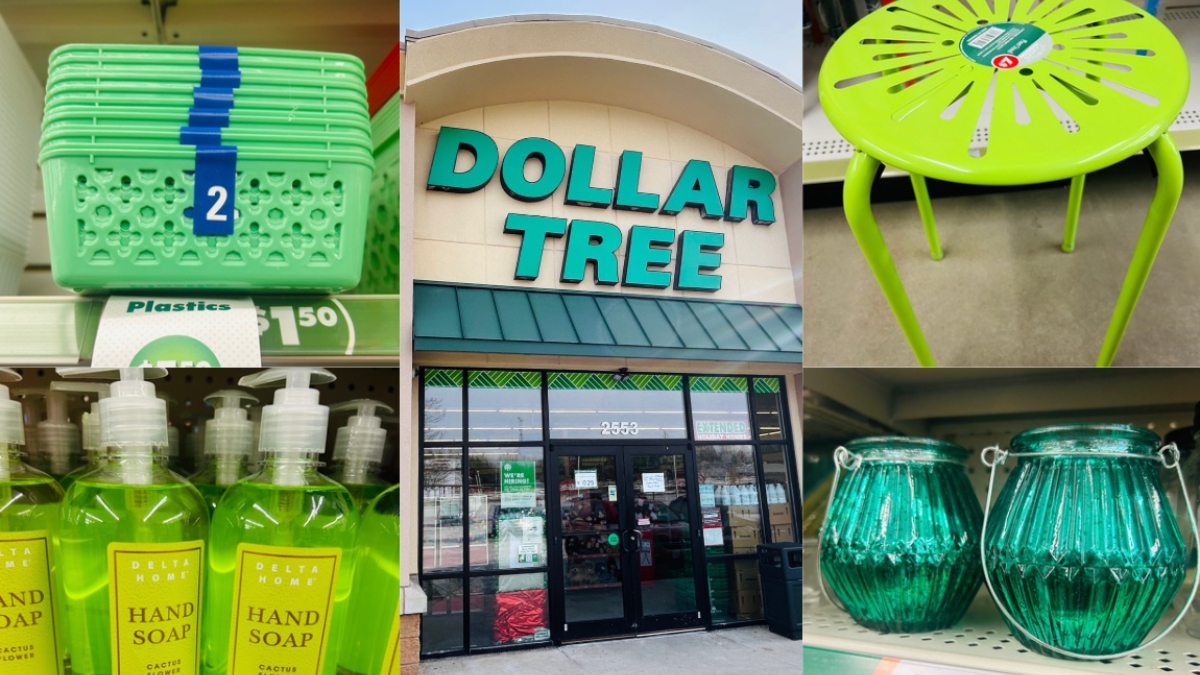 I Tried the ‘Colorhunting’ Trend at Dollar Tree and Found 9 Hidden Gems Starting...